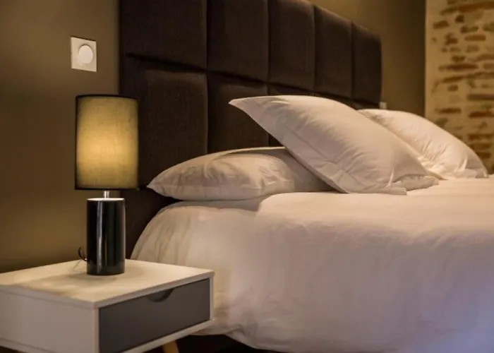 Hotels met jacuzzi in Perpignan