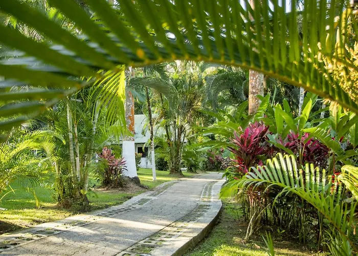 Hotels in Dominical