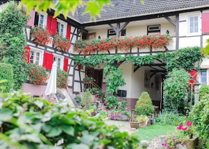 Hotels in Iffezheim