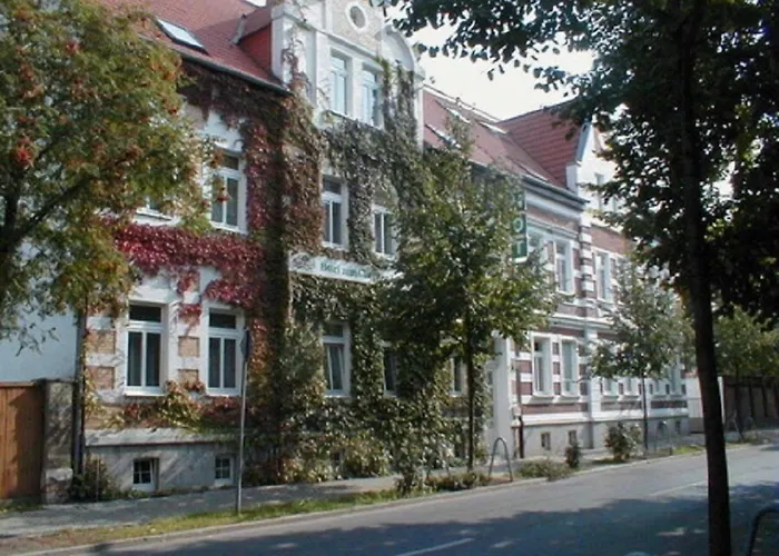 Hotel Zum Goldenen Löwen Merseburg
