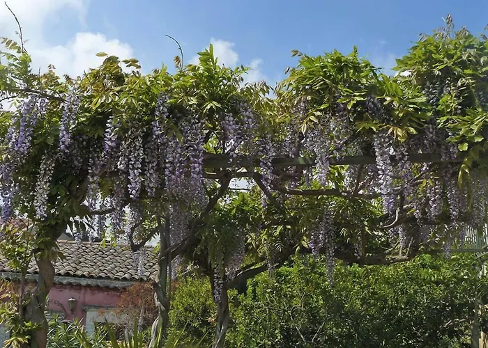 Hotel Casa Velardi Viagrande