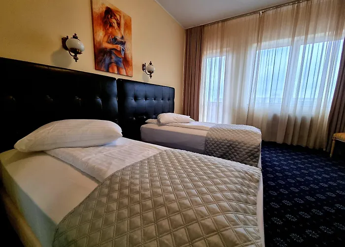 Hotel Coandi