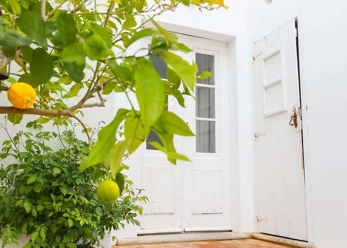São Paulo Boutique Hotel - SPBH Tavira
