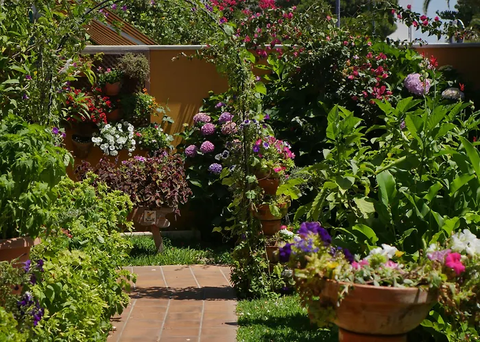 Hotels in Matalascañas