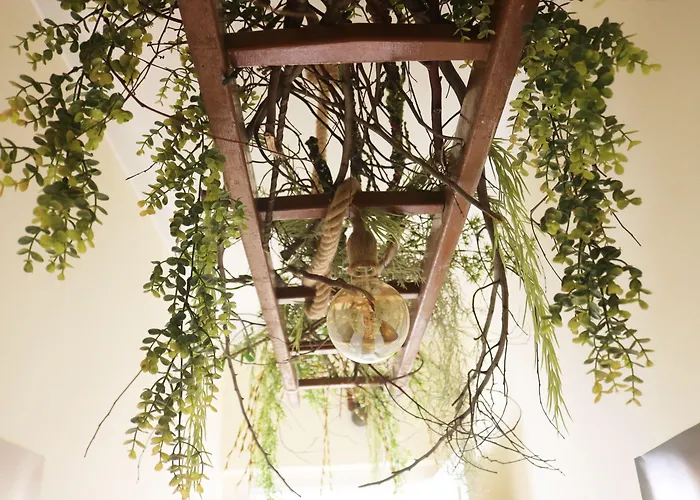 Green Element Guesthouse