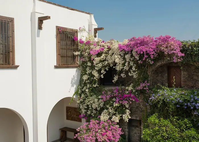 San Juan del Rio Hotels