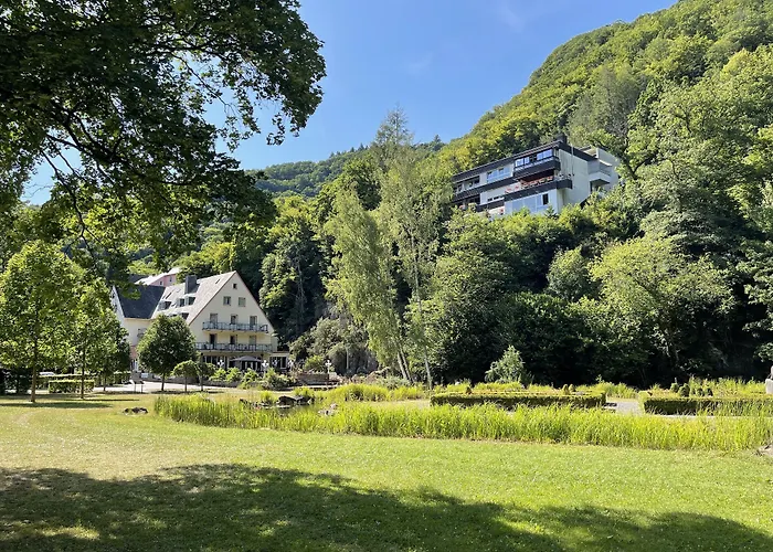 Hotel Alte Mühle