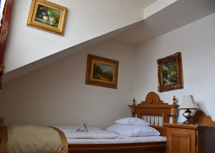Hotels in Celje