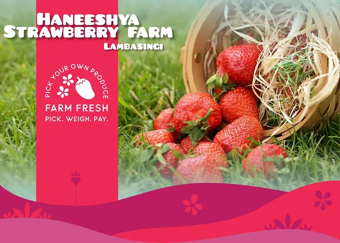 Lammasingi Hotels