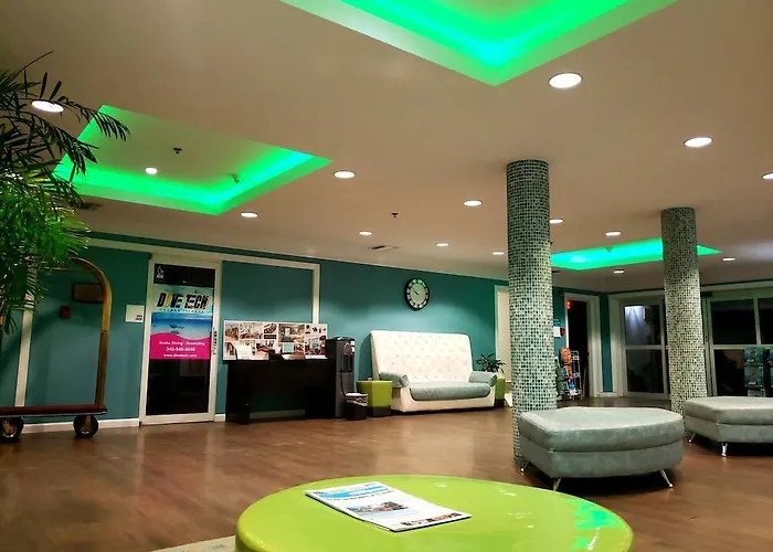 Hotels in Dog City