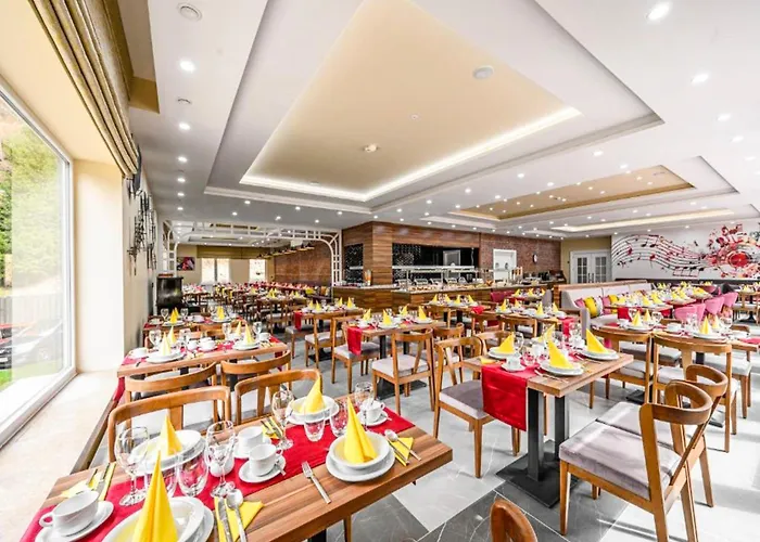 Hotels in Erlbach (Saxony)