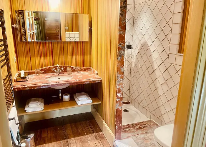 Demeure Saint Louis Historic Manor, City 700M, Free Parking,A C,Clim,Wifi, City View, Garden Carcassonne