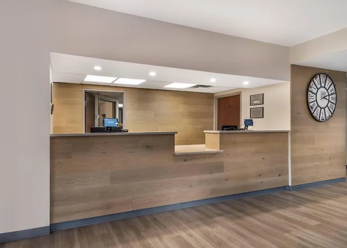 Shelby Hotels