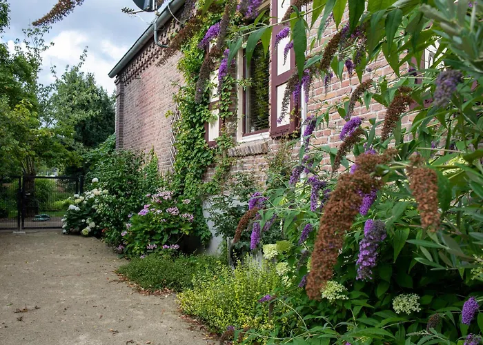 B&B Reveille
