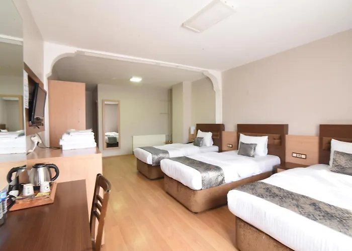 Hotels in Igdır