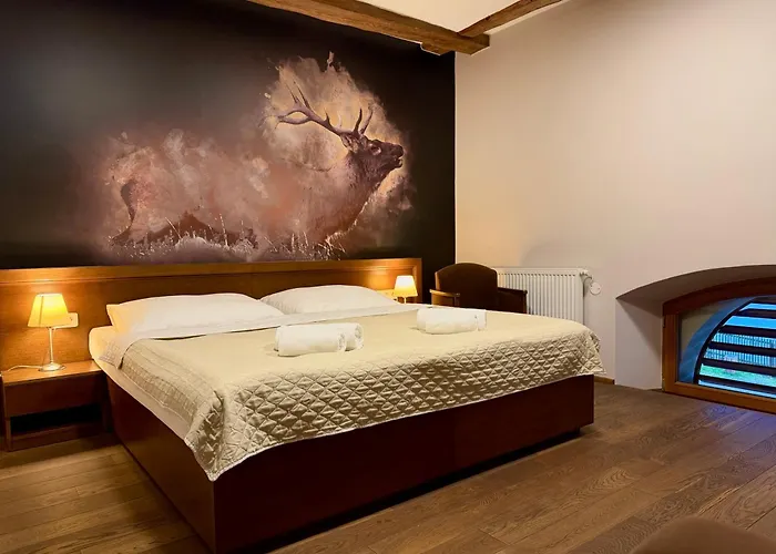 Letohrad Hotels