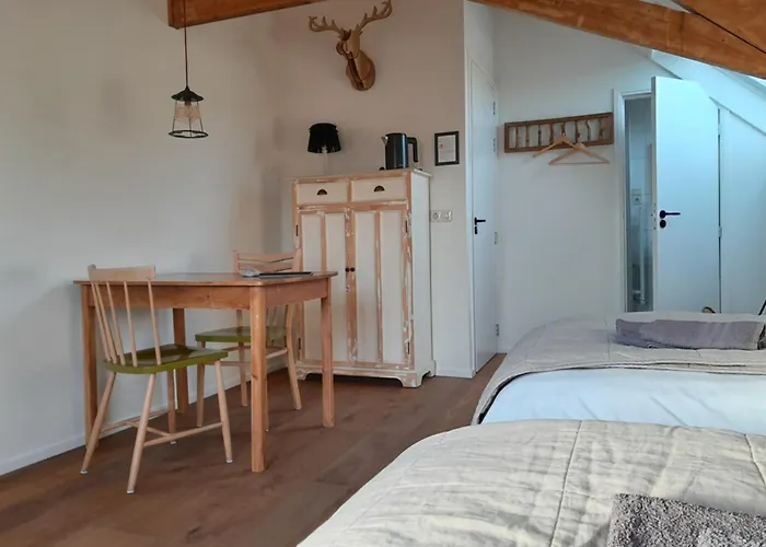 sport B&B De Veluwezoom
