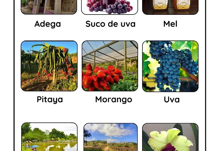 Casa da Vovó na Pousada Sitio Pauletto - com Cozinha, Churrasqueira e Decoração Jarinu