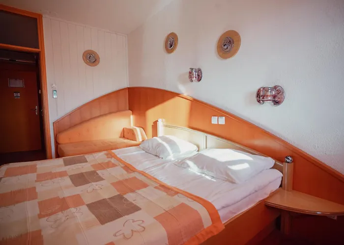 Hotels in Žalec