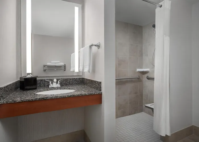 Hilton Garden Inn Denver Downtown