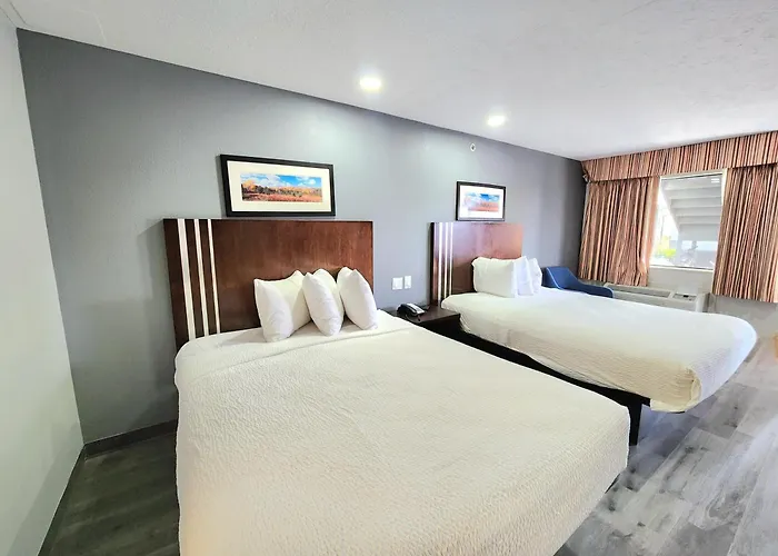 Winnie Hotels