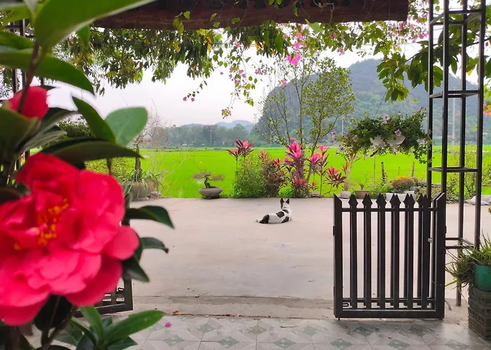 Hotels in NINH BINH