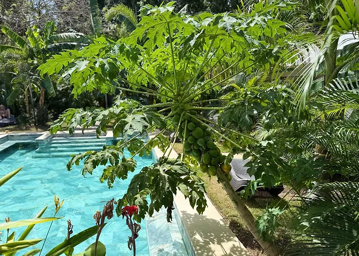 Playa Potrero Hotels