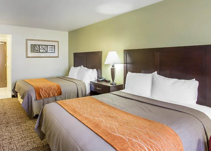 Comfort Inn Franklin Highway 96