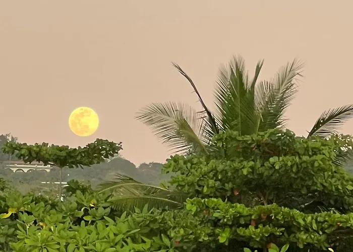 Nosara Hotels