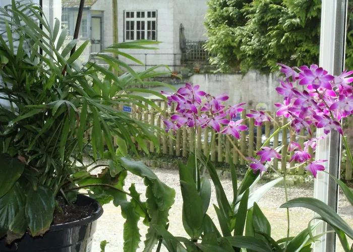 Hoteles en Polperro