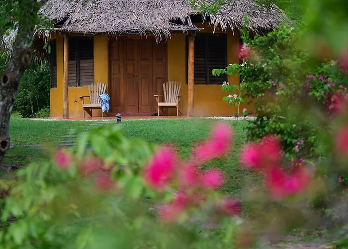 Hotels in Playa Negra