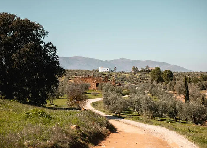 Moraleda De Zafayona Hotels