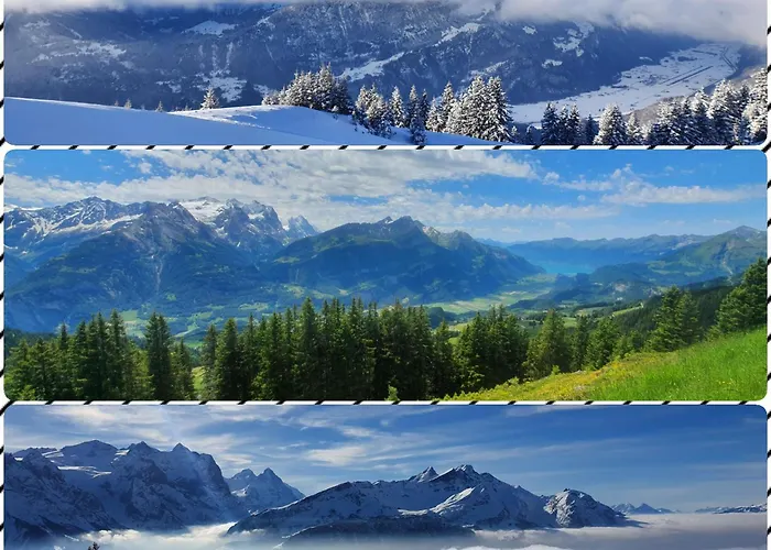 Hotels in Meiringen
