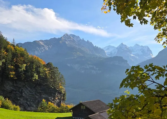 Hôtels à Meiringen
