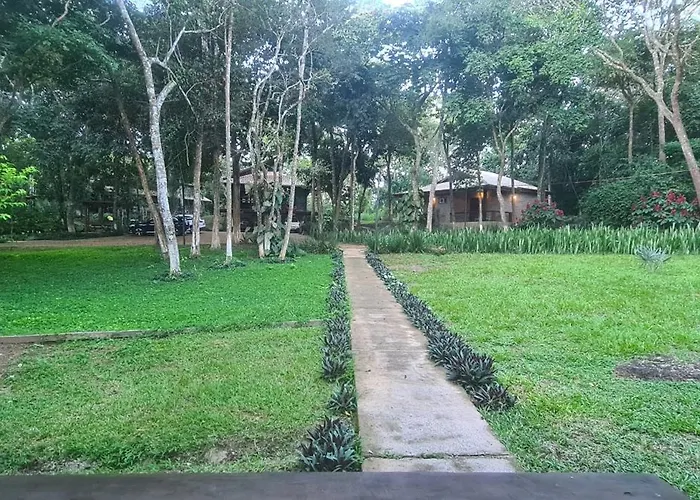 Bosque São Francisco