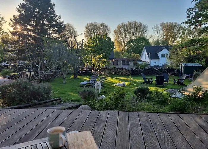 Schoenste Lage Am Rhein In Unmittelbarer Stadtnaehe, B & B Keulen