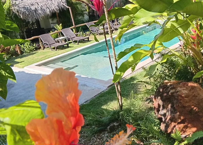 Hotéis em Las Galeras