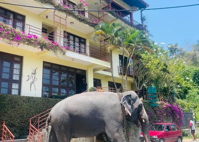 Nature Walk Resort Kandy