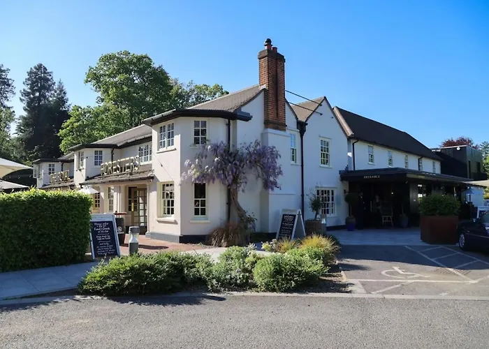 Ascot (Berkshire) Hotels