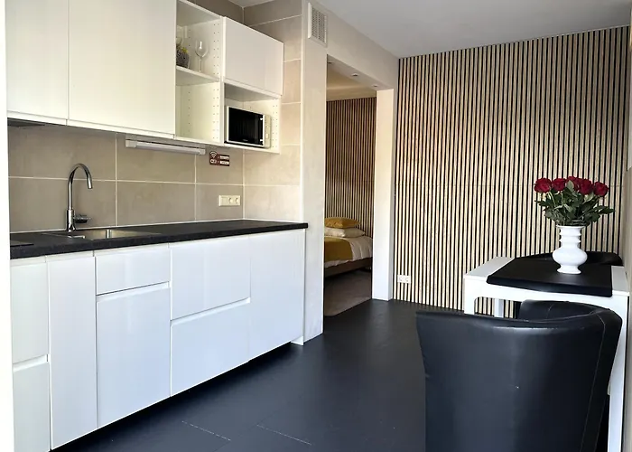 B&B Hotel Elselina Schiedam