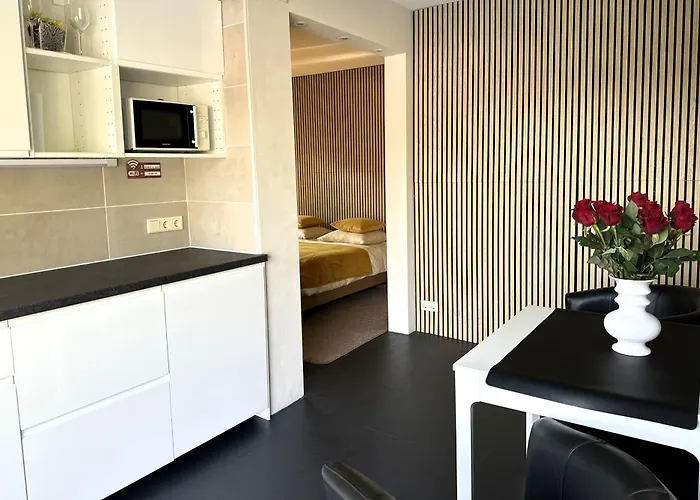 B&B Hotel Elselina Schiedam