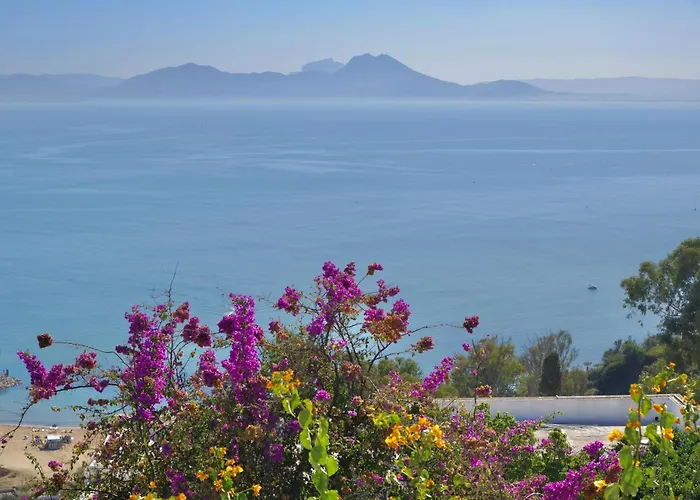 Hotels in Sidi Bou Ali