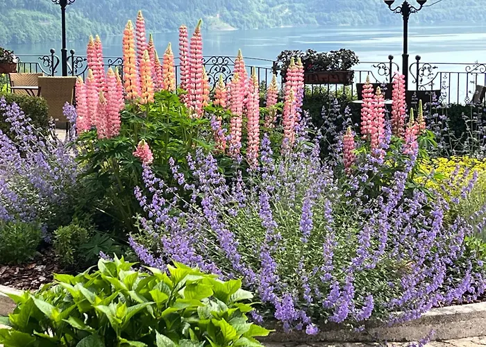 Hotel Miralago Wellness - Adults Only Molveno