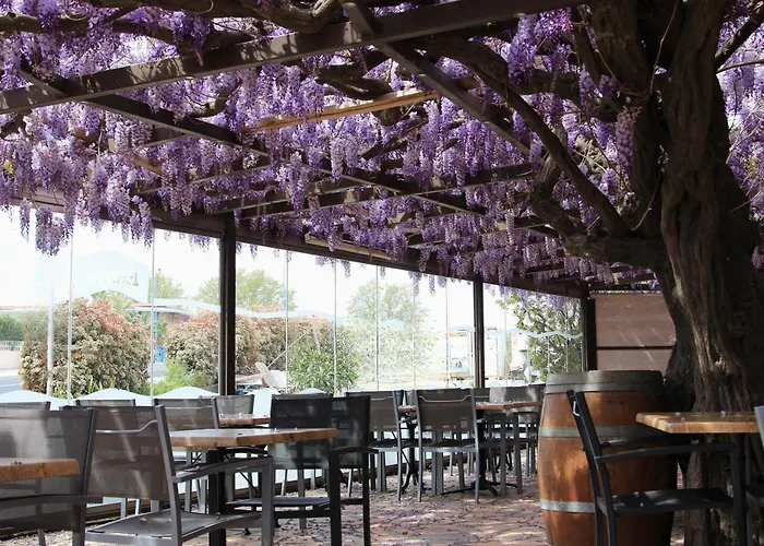 Auberge du Bon Vivant Argelès-sur-Mer