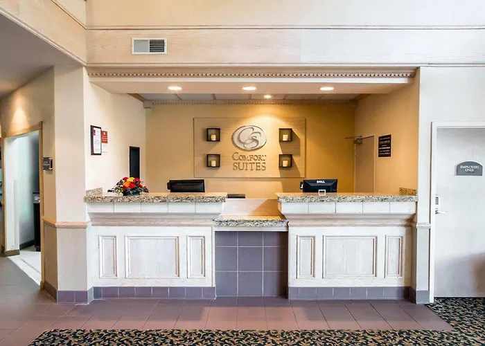 Comfort Suites University Area Notre Dame-South Bend