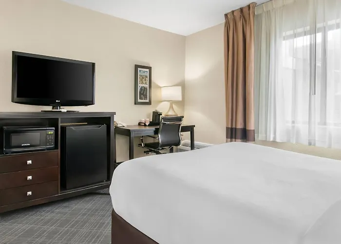 Comfort Inn Detroit Downtown