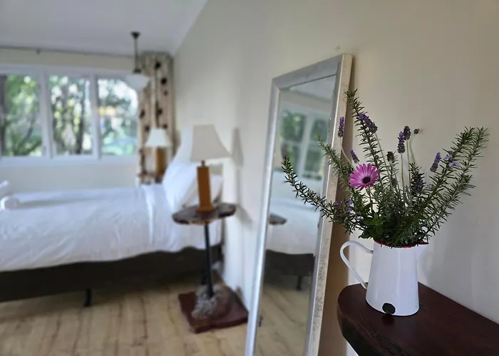 Hoteles en Bodalla
