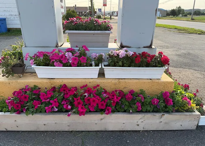 Hôtels à Matane