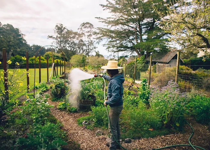 Best 3 Spa Hotels in Mendocino for a Relaxing Getaway