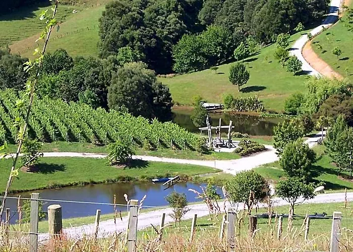 Matakana Hotels